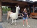 TAG_03_DSC00238